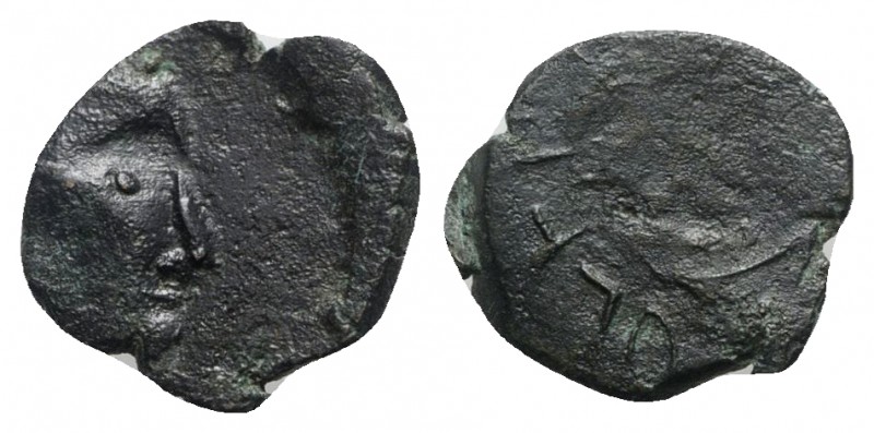 Italy, Salerno. Ruggero II (1105-1154). BI Follaro Fraction (12mm, 1.12g). Head ...