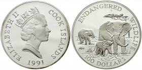 Ausländische Münzen und Medaillen, Cookinseln, Britisch, seit 1773
100 Dollars (5 Unzen Silber) 1991. Endangered Wildlife. Elefantenfamilie. Im Etui....
