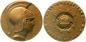 Medaillen, Drittes Reich
Bronzegussmedaille 1935/1936 von Biringer. Höchst-Spende für die NS-Kulturgemeinde. 76 mm. 
vorzüglich