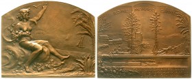 Medaillen, Eisenbahn
Bronzeplakette 1908 v. T. Szirmai, a.d. Bahnstrecke Rom-Monaco-Cannes. 71 X 60 mm, 124,65 g. 
vorzüglich/prägefrisch,