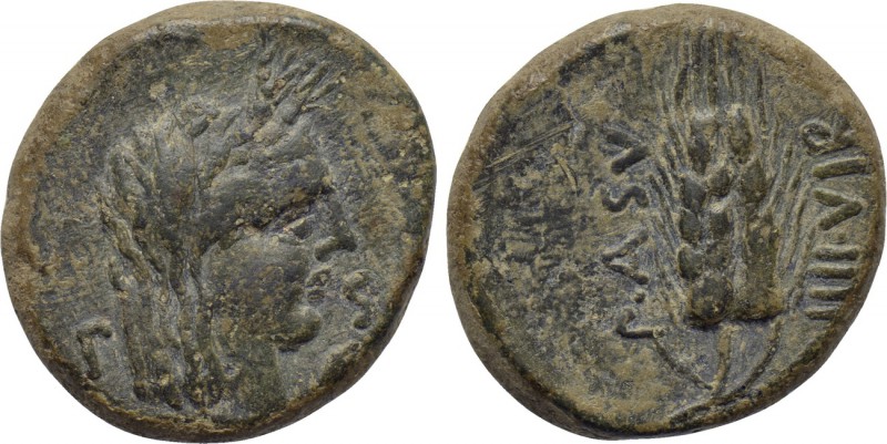 LUCANIA. Paestum (Poseidonia). Semis (Circa 90-44 BC). 

Obv: P - A. 
Veiled ...
