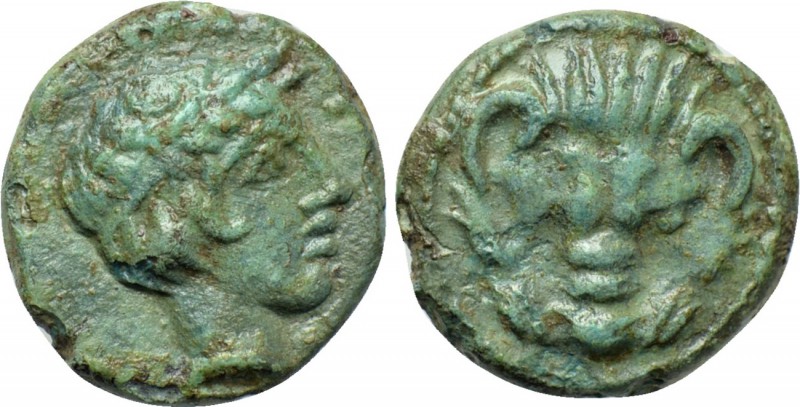 BRUTTIUM. Rhegion. Ae (Circa 351-280 BC). 

Obv: Facing head of lion.
Rev: La...
