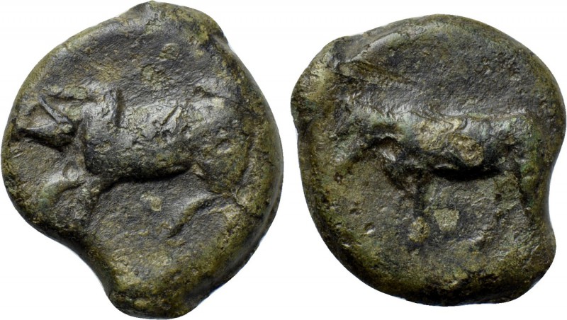 SICILY. Halykiai. Ae (Circa 390-370 BC). 

Obv: Man-headed bull standing left....