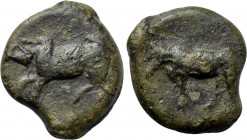 SICILY. Halykiai. Ae (Circa 390-370 BC).