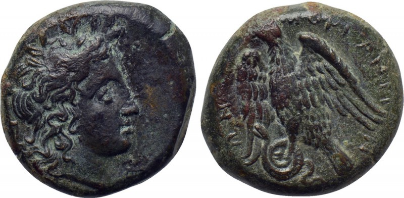 SICILY. Morgantina. Ae Hemilitra (Circa 339/8-317 BC). 

Obv: Laureate head of...
