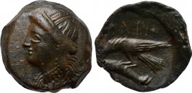 SKYTHIA. Olbia. Ae (Circa 350-300 BC).