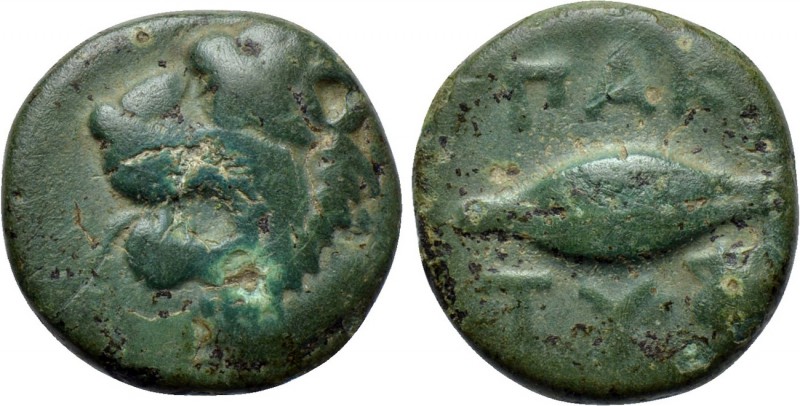 THRACE. Chersonesos. Pakyte. Ae (Circa 375-325 BC). 

Obv: Head of roaring lio...