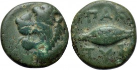 THRACE. Chersonesos. Pakyte. Ae (Circa 375-325 BC).