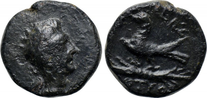 KINGS OF THRACE. Odrysian (Astaian). Kotys IV (Circa 171-167 BC). Ae. 

Obv: D...