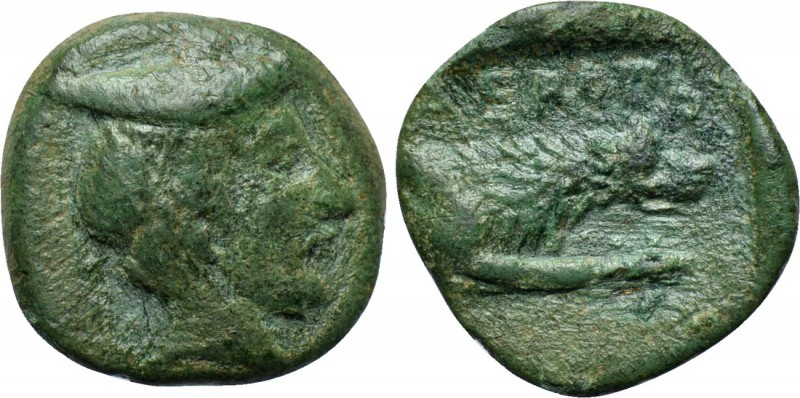 KINGS OF MACEDON. Aeropos (398/7-395/4 BC). Ae. 

Obv: Head of Hermes right, w...