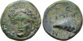 AEOLIS. Gryneion. Ae (4th century BC).
