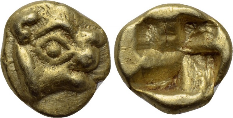 IONIA. Uncertain. EL 1/24 Stater (Circa 600-550 BC). 

Obv: Head (calf, seal o...