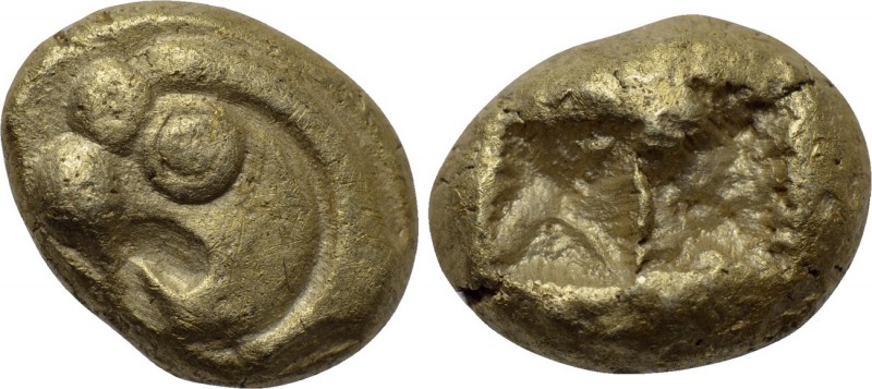 IONIA. Uncertain. EL Hekte (Circa 600-550 BC). 

Obv: Head of lion left.
Rev:...