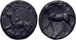 CYPRUS. Salamis. Evagoras II (Circa 361-351 BC). Ae.