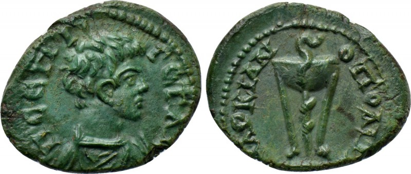 MOESIA INFERIOR. Marcianopolis. Geta (Caesar, 198-209). Ae. 

Obv: Π CЄΠTI ΓЄT...