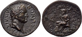 ASIA MINOR. Uncertain (possibly Amorium?). Vespasian (69-79). Ae.