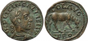 TROAS. Alexandria. Gallienus (253-268). Ae As.