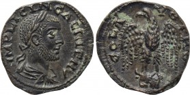 TROAS. Alexandria. Gallienus (253-268). Ae As.