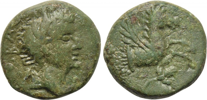 MYSIA. Lampsacus. Tiberius (14-37). Ae. 

Obv: CЄBAC. 
Laureate head right.
...
