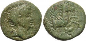 MYSIA. Lampsacus. Tiberius (14-37). Ae.