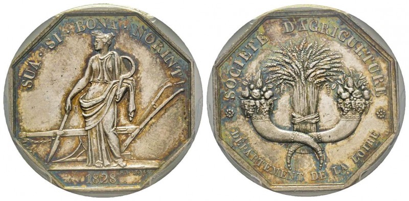 Jeton Octagonal, 1828, AG 30 mm par Dubois
Avers : SUA SI BONA NORINT 1828
Rever...