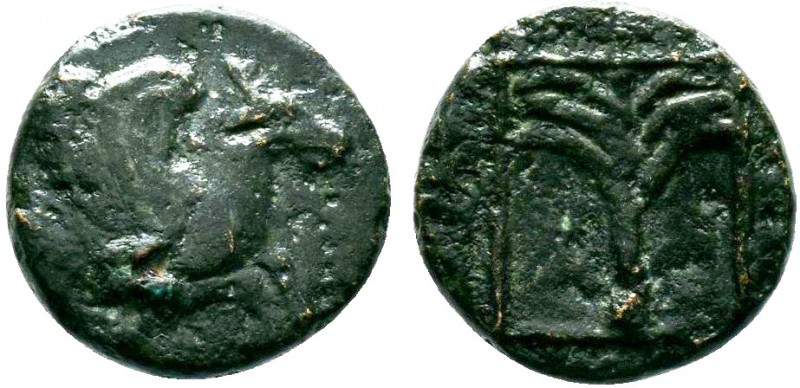 TROAS. Skepsis circa 400-310 BC. AE Bronze

Condition: Very Fine

Weight: 0.7 gr...