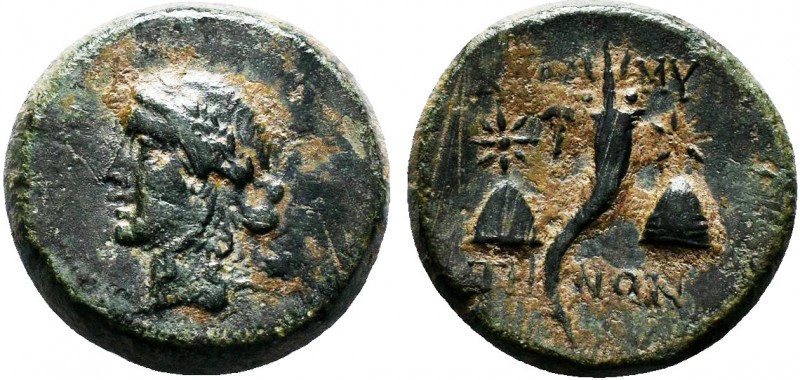 PONTUS.Amisos. circa 125 -100 BC.AE Bronze

Condition: Very Fine

Weight: 9.0 gr...