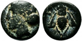 IONIA. Ephesos. Ae (Circa 390-320/00 BC).

Condition: Very Fine

Weight: 1.3 gr
Diameter: 10 mm