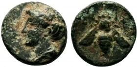 IONIA. Ephesos. Ae (Circa 390-320/00 BC).

Condition: Very Fine

Weight: 1.3 gr
Diameter: 11 mm
