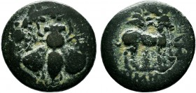 IONIA. Ephesos. Ae (Circa 390-320/00 BC).

Condition: Very Fine

Weight: 4.0 gr
Diameter: 18 mm