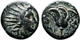 CARIA.Rhodos. 188-84 BC.AE Bronze

Condition: Very Fine

Weight: 1.4 gr
Diameter: 11 mm