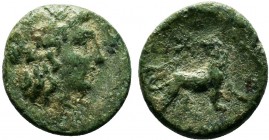 IONIA.Miletos .circa 350-190 BC.AE Bronze

Condition: Very Fine

Weight: 1.0 gr
Diameter: 11 mm