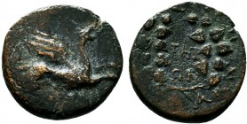 Greek Coins, Circa 2nd - 1st century BC. Æ

Condition: Very Fine

Weight: 1.1 gr
Diameter: 13 mm