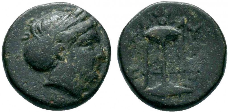 SELEUCIS and PIERIA.Sardes. Antiochos II Theos 261-246 BC. AE Bronze

Condition:...