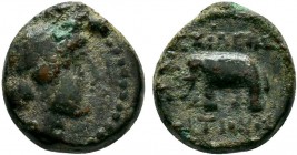 SELEUCIS and PIERIA.Antiochos I Soter 281-261 BC. AE Bronze

Condition: Very Fine

Weight: 2.0 gr
Diameter: 12 mm