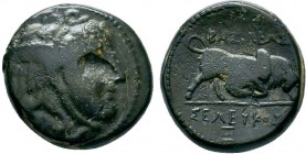 SELEUCIS and PIERIA.Antioch. Seleukos I Nikator 312-281 BC. AE Bronze

Condition: Very Fine

Weight: 7.6 gr
Diameter: 20 mm