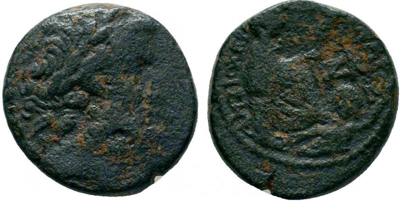 SELEUCIS and PIERIA.Antioch. Pseudo-autonomous issue. temp. Augustus, 27 BC-AD 1...