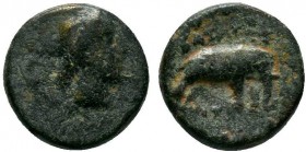 SELEUCIS and PIERIA.Antioch.Antiochos III Megas 223-187 BC.AE Bronze 

Condition: Very Fine

Weight: 1.0 gr
Diameter: 10 mm
