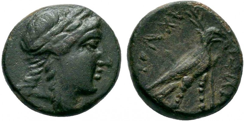 SELEUCIS and PIERIA.Sardes.Achaios .Usurper, 220-214 BC. AE Bronze

Condition: V...