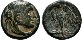 PTOLEMAIC KINGDOM. Ptolemy III. 246-221 BC.AE Bronze 

Condition: Very Fine

Weight: 8.2 gr
Diameter: 19 mm