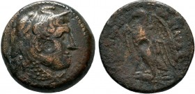 PTOLEMAIC KINGDOM. Ptolemy III. 246-221 BC.AE Bronze 

Condition: Very Fine

Weight: 11.0 gr
Diameter: 23 mm