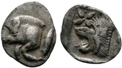 MYSIA.Kyzikos . 450-400 BC.AR Obol

Condition: Very Fine

Weight:0.4 gr 
Diameter: 10 mm