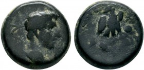 PHRYGIA.Apameia. Tiberius AD 14-37.AE bronze

Condition: Very Fine

Weight: 4.5 gr
Diameter: 15 mm