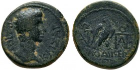 PHRYGIA. Laodicea. Augustus.27 BC-14 AD. AE Bronze

Condition: Very Fine

Weight: 3.2 gr
Diameter: 15 mm