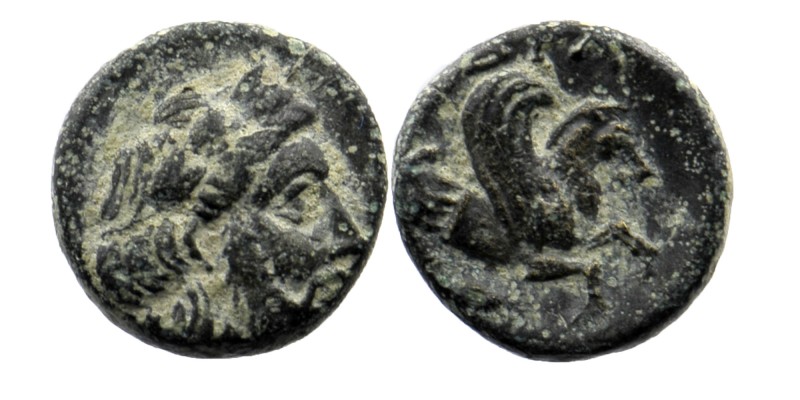 MYSIA. Lampsakos. Ae (4th-3rd centuries BC).
Laureate head of female right
Rev: ...