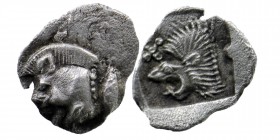 Mysia. Kyzikos AR Obol. 450-400 BC.
Forepart of boar left, tunny behind./Head of lion left.
SNG France 369-70; SNG Aulock 7331
0,16 gr. 8 mm