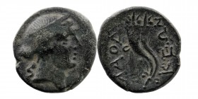 PHRYGIA. Laodicea. Ae (Circa 133/88-67 BC).
Obv: Diademed female head right.
Rev: ΛAOΔIKEΩN.
Double cornucopia.
BMC 32.
6,33 gr. 21 mm