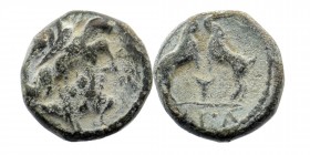PISIDIA. Sagalassus. Ae (Circa 1st century BC).
Obv: Laureate head of Zeus.
Rev: ΣAΓΑ.
Two rampant goats.
Cf. SNG von Aulcok 5156 (rv. legend).
2,80 g...