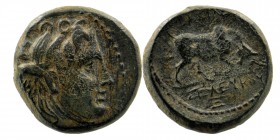 Seleukid Kings. Seleukos I Nikator (312-281 BC). Ae. Sardes.
Winged head of Medusa right/ Bull butting right
SC 6.2.
3,41 mm. 14 mm