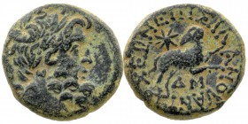 SYRIA. Seleucus and Pieria. Antioch. AE. ca. A.D. 11-17.
Laureate head of Zeus right. OBV: ΔM (= yr. 44 of Actian era = A.D. 13/14).
Ram leaping right...